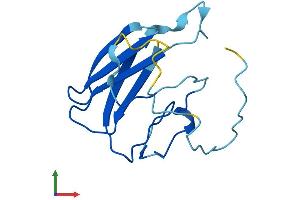 AlphaFold protein structure predicition of Human Recombinant MPTX1 Protein, UniprotID A8MV57 (Mptx Protein (AA 1-137) (His tag))