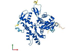 Protein Structure (PS) image for Alpha Centractin (ACTR1A) (AA 1-376) protein (His tag) (ABIN7551881)