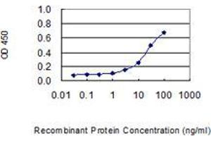 Detection limit for recombinant GST tagged P11 is 1 ng/ml as a capture antibody. (ENDOU antibody  (AA 270-369))