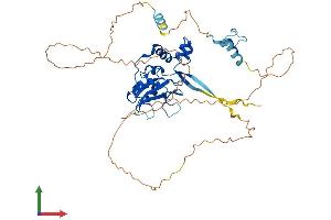 AlphaFold protein structure predicition of Human Recombinant SOCS4 Protein, UniprotID Q8WXH5