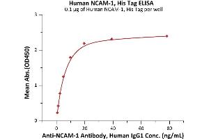ELISA image for Neural Cell Adhesion Molecule 1 (NCAM1) (AA 20-718) (Active) protein (His tag) (ABIN6992330)