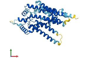 AlphaFold protein structure predicition of Human Recombinant G6PC2 Protein, UniprotID Q9NQR9 (G6PC2 Protein (AA 1-355) (His tag))