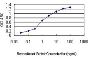 Detection limit for recombinant GST tagged NCK1 is approximately 0. (NCK1 antibody  (AA 185-294))