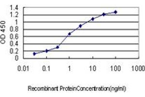 Detection limit for recombinant GST tagged NCK1 is approximately 0.