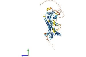 AlphaFold protein structure predicition of Human Recombinant SERINC4 Protein, UniprotID A6NH21