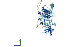 AlphaFold protein structure predicition of Human Recombinant USH1C Protein, UniprotID Q9Y6N9 (USH1C Protein (AA 1-552) (His tag))