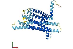 AlphaFold protein structure predicition of Human Recombinant TAS2R43 Protein, UniprotID P59537 (TAS2R43 Protein (AA 1-309) (His tag))