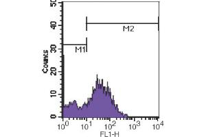 Flow Cytometry (FACS) image for anti-CD7 (CD7) antibody (FITC) (ABIN2144471) (CD7 antibody  (FITC))