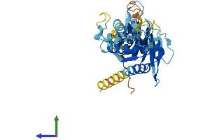 AlphaFold protein structure predicition of Mouse Recombinant Gtpbp10 Protein, UniprotID Q8K013
