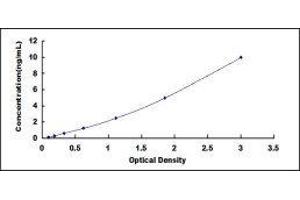 Ubiquitin Protein Ligase E3 Component N-Recognin 4 (UBR4) ELISA Kit