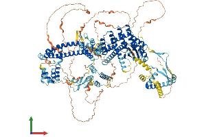 Protein Structure (PS) image for SIN3 homolog A, transcription regulator (SIN3A) (AA 1-1274) protein (His tag) (ABIN7563862)