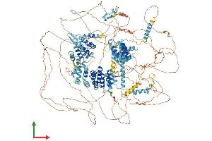 Protein Structure (PS) image for Eukaryotic Translation Initiation Factor 4 gamma 3 (EIF4G3) (AA 1-1585) protein (His tag) (ABIN7554156)