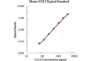 ELISA image for Chemokine (C-C Motif) Ligand 2 (CCL2) ELISA Kit (ABIN3198406) (CCL2 ELISA Kit)