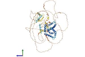 Protein Structure (PS) image for MLX Interacting Protein-Like (MLXIPL) (AA 1-852) protein (His tag) (ABIN7549419)