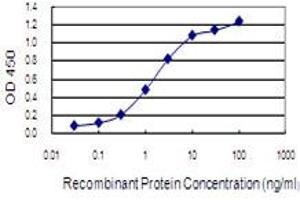 Detection limit for recombinant GST tagged DHX38 is 0. (DHX38 antibody  (AA 342-450))