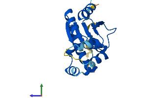 AlphaFold protein structure predicition of Mouse Recombinant Idnk Protein, UniprotID Q8R0J8 (IdnK Protein (AA 1-184) (His tag))
