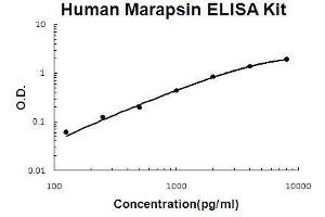 PRSS27 ELISA Kit