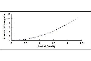 Typical standard curve (NOS2 ELISA Kit)