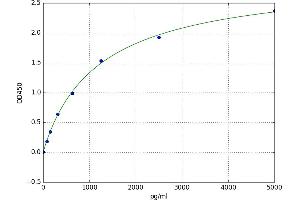 Pyruvate Dehydrogenase (Lipoamide) alpha 2 (PDHa2) ELISA Kit