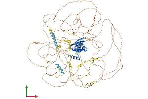 AlphaFold protein structure predicition of Human Recombinant SYNPO2 Protein, UniprotID Q9UMS6 (SYNPO2 Protein (AA 1-1093) (His tag))