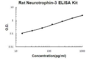 Rat Neurotrophin-3 PicoKine ELISA Kit standard curve (Neurotrophin 3 ELISA Kit)