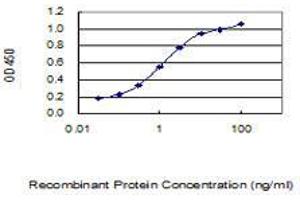 ELISA image for anti-CAMP Responsive Element Modulator (CREM) (AA 201-300) antibody (ABIN560468)