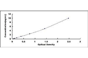 Typical standard curve (HSP90AB1 ELISA Kit)