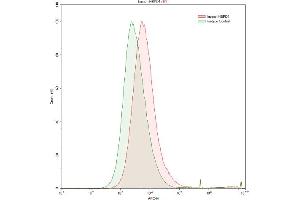 Detection of Hsp60 in HepG2 human hepatocellular carcinoma cell line using Polyclonal Antibody to Heat Shock Protein 60 (Hsp60) (HSPD1 antibody  (AA 172-343))