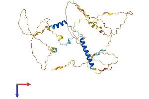 AlphaFold protein structure predicition of Human Recombinant FAM181B Protein, UniprotID A6NEQ2