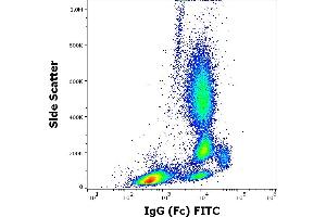 Flow cytometry surface staining pattern of human peripheral whole blood stained using anti-human IgG (Fc) (EM-07) FITC antibody (3 μL reagent / 100 μL of peripheral whole blood). (Mouse anti-Human IgG Fc (Fc Region) Antibody (FITC))