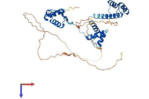 PAX4 Protein (AA 1-350) (His tag)