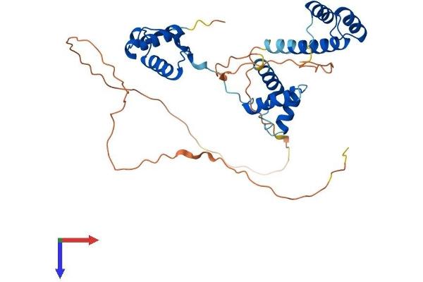 PAX4 Protein (AA 1-350) (His tag)