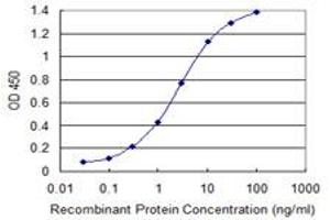 Detection limit for recombinant GST tagged KLF8 is 0. (KLF8 antibody  (AA 1-98))