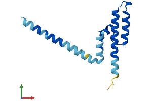 Protein Structure (PS) image for Presequence Translocase-Associated Motor 16 Homolog (PAM16) (AA 1-125) protein (His tag) (ABIN7560580)