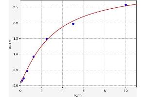 SESN3 ELISA Kit