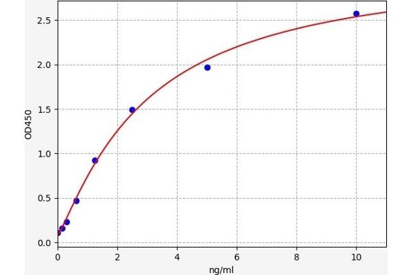 SESN3 ELISA Kit