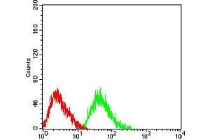 Flow cytometric analysis of HL-60 cells using CD125 mouse mAb (green) and negative control (red). (IL5RA antibody  (AA 21-196))