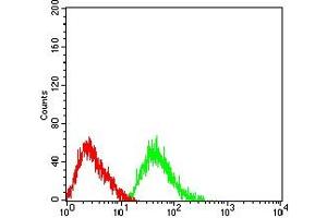 Flow cytometric analysis of HL-60 cells using CD125 mouse mAb (green) and negative control (red). (IL5RA antibody  (AA 21-196))