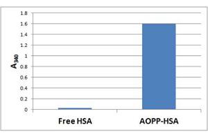 Chloramine Standard Curve Generated with the OxiSelect™ AOPP Assay Kit. (OxiSelect™ AOPP Assay Kit (200 assays))