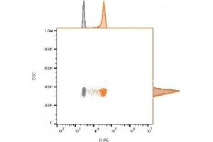 Flow cytometry of bead-bound exosomes derived from MCF-7 cells. (CD9 antibody)