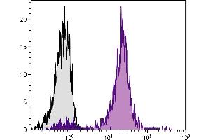 Chicken peripheral blood lymphocytes were stained with Mouse Anti-Chicken CD45-BIOT. (CD45 antibody  (Biotin))