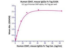 Immobilized Human SIRP alpha (HPLC-verified), His Tag (Cat# SIA-H5225) at 2 μg/mL (100 μL/well) can bind Human CD47, mouse IgG2a Fc Tag, low endotoxin  with a linear range of 0. (CD47 Protein (CD47) (AA 19-139) (Fc Tag))