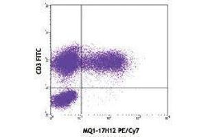 Flow Cytometry (FACS) image for anti-Interleukin 2 (IL2) antibody (PE-Cy7) (ABIN2659591) (IL-2 antibody  (PE-Cy7))