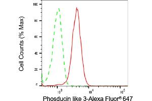 Flow cytometric analysis of Phosducin like 3 expression in HeLa cells using Phosducin like 3 antibody (ABIN7799787), 1:1,000).