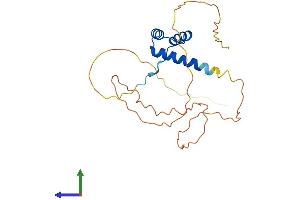 AlphaFold protein structure predicition of Human Recombinant NANOGP1 Protein, UniprotID Q8N7R0 (NANOGP1 Protein (AA 1-232) (His tag))