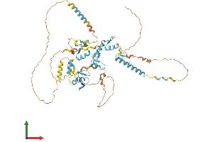 AlphaFold protein structure predicition of Human Recombinant ZNF579 Protein, UniprotID Q8NAF0 (ZNF579 Protein (AA 1-562) (His tag))
