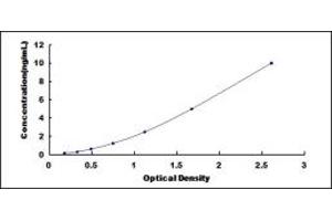 Typical standard curve (Gastrokine 1 ELISA Kit)