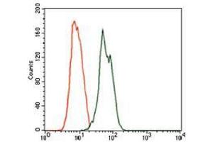 Flow cytometric analysis of MCF-7 cells using RAB4A mouse mAb (green) and negative control (red). (Rab4 antibody)