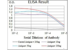ELISA image for anti-Signal Transducer and Activator of Transcription 5A (STAT5A) (AA 583-794) antibody (ABIN1845625) (STAT5A antibody  (AA 583-794))