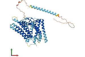 Protein Structure (PS) image for Sterol O-Acyltransferase 2 (SOAT2) (AA 1-522) protein (His tag) (ABIN7546333)